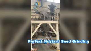 آسیاب پین برای آسیاب دانه خردل